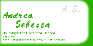 andrea sebesta business card